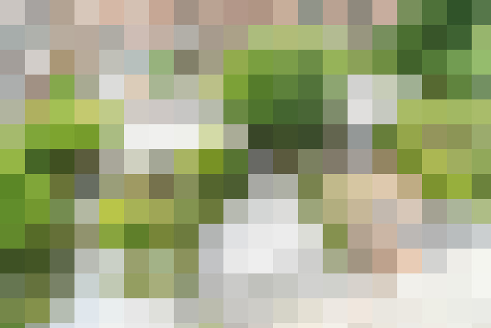 Image 109