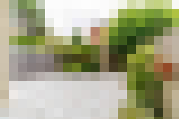 Image 27