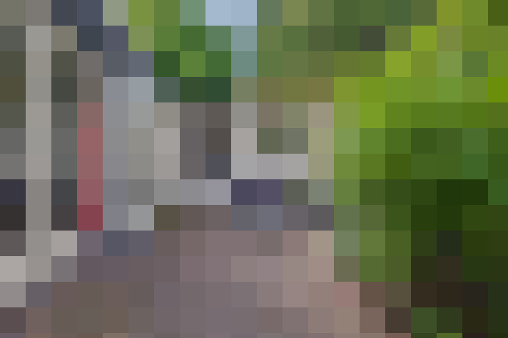 Image 36