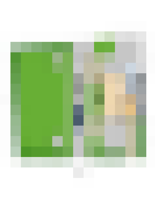 Image 47