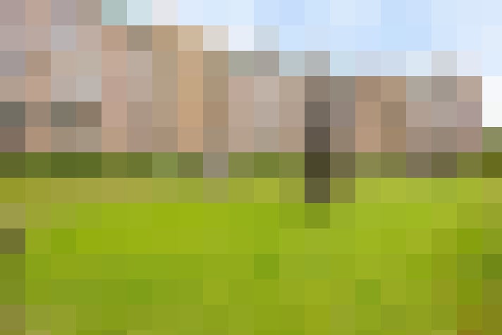 Image 17