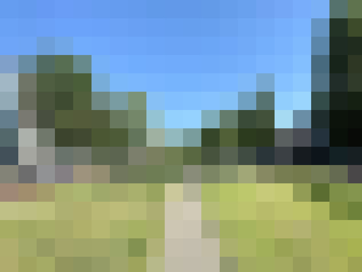 Image 27