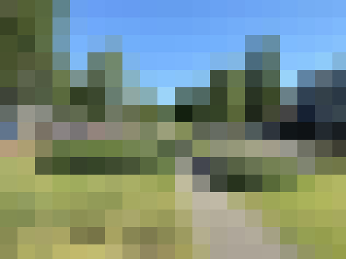 Image 26