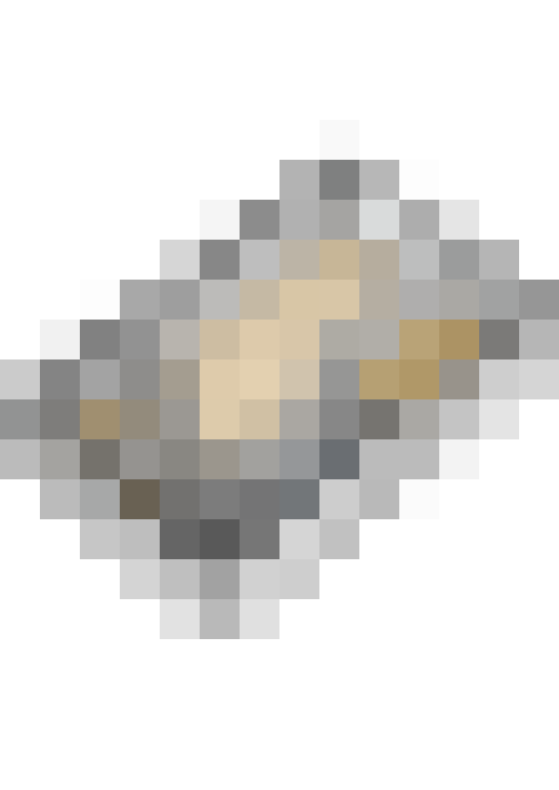 Image 29