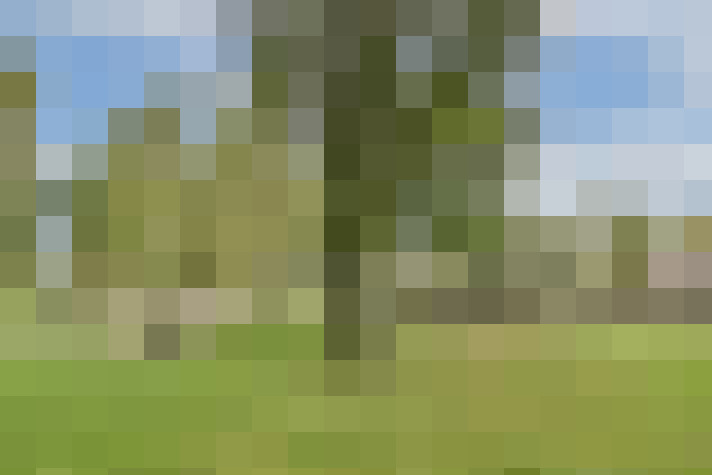Image 30