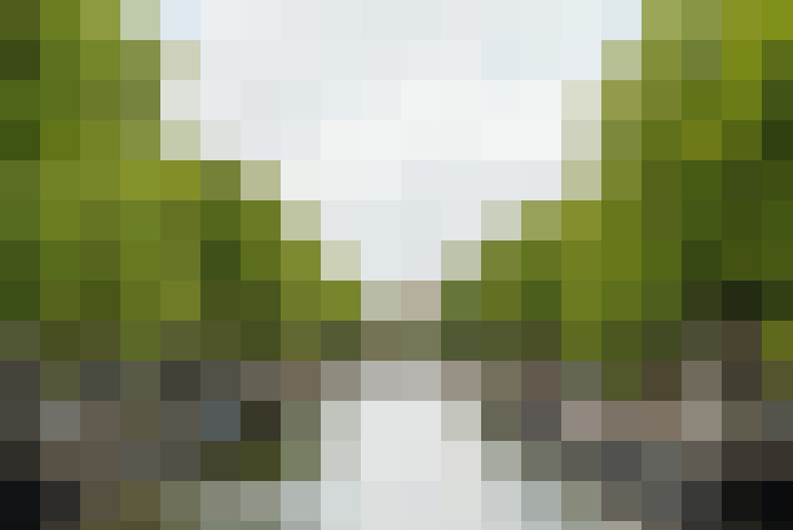 Image 36