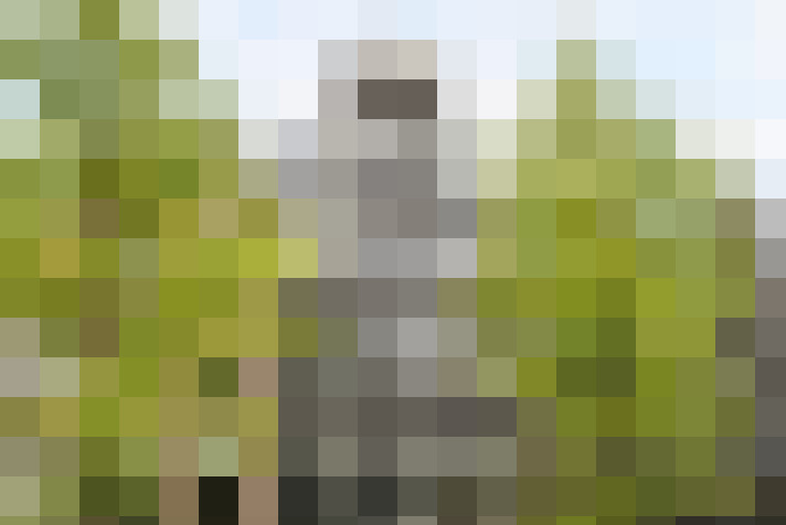 Image 33