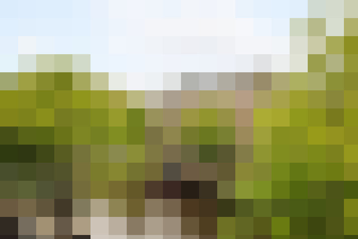 Image 29