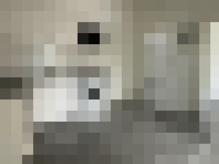Image 13