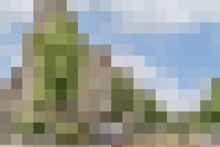 Image 24