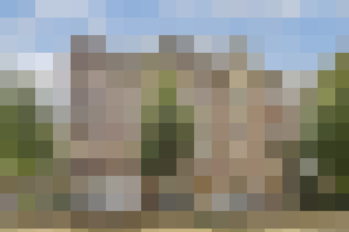 Image 23