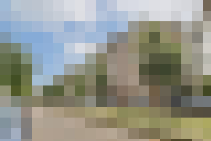 Image 22