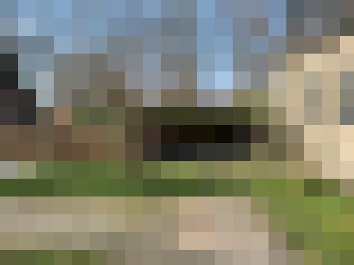 Image 13