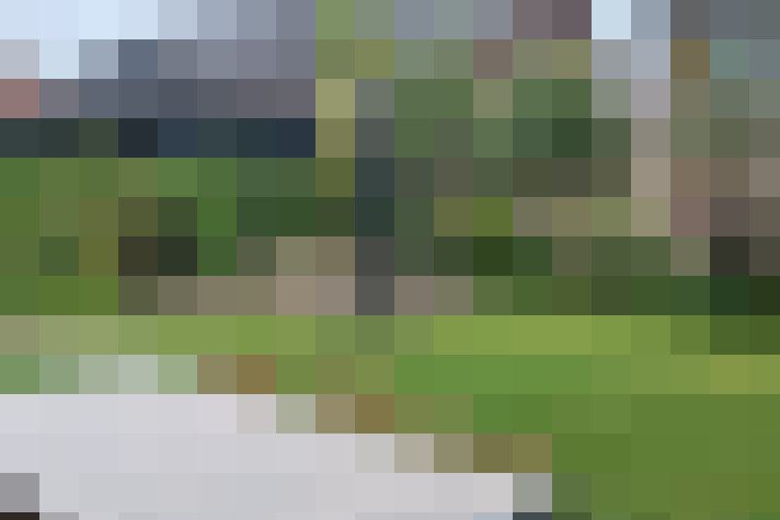 Image 36