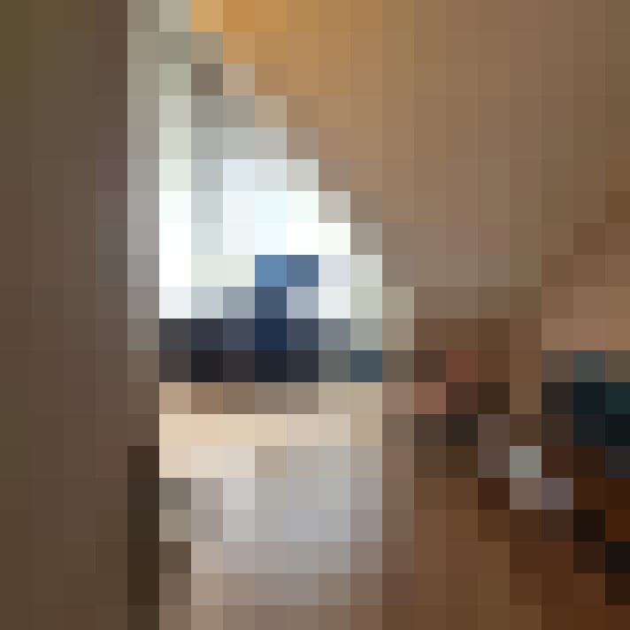 Image 28