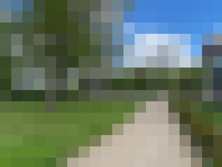 Image 17