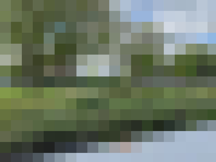Image 23