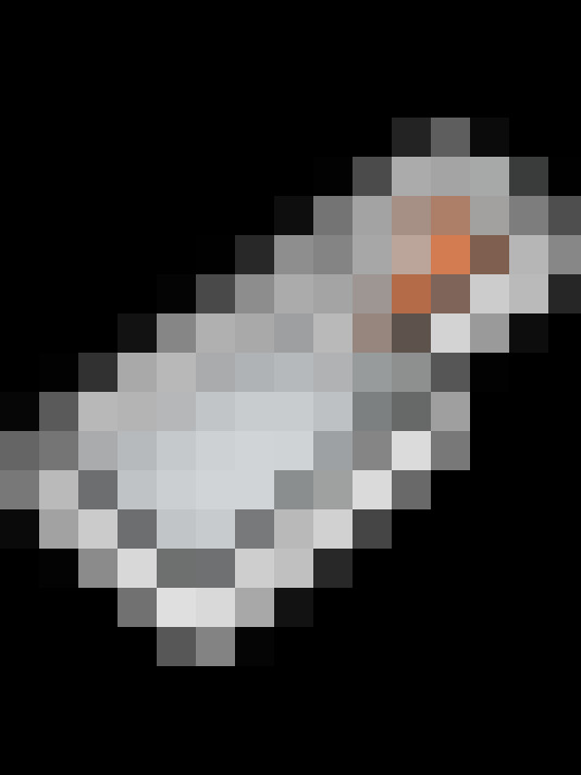Image 36