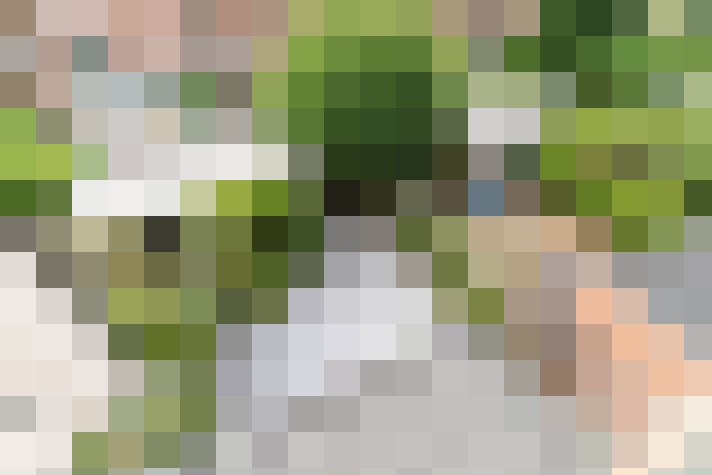 Image 41