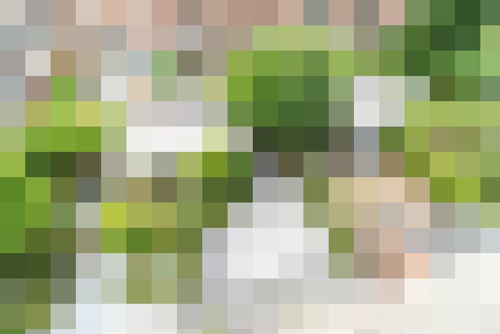Image 55