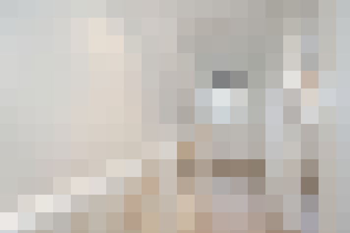 Image 41