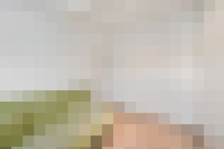 Image 52
