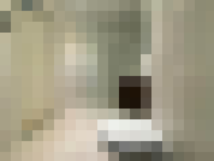 Image 28