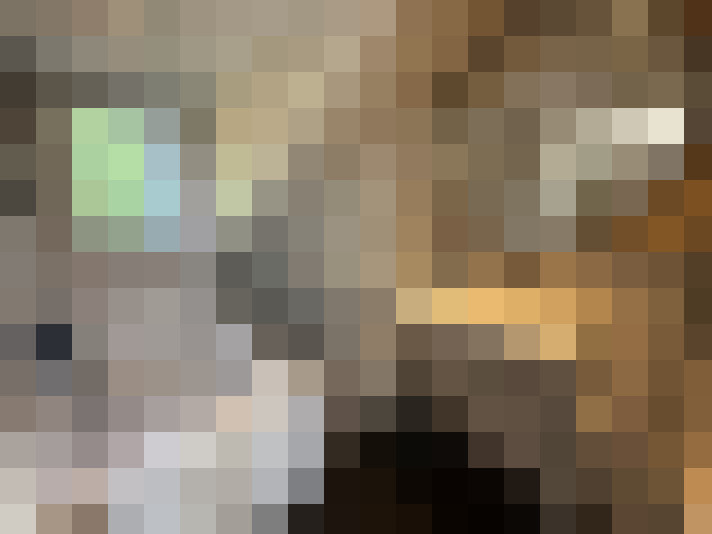 Image 28