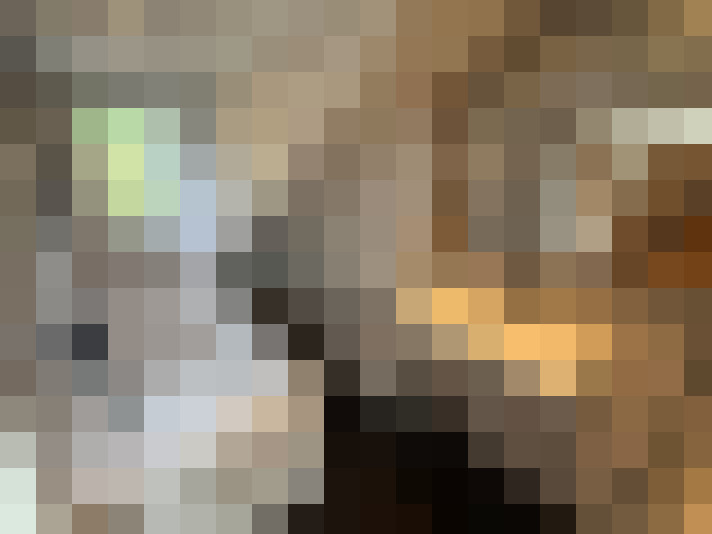 Image 25