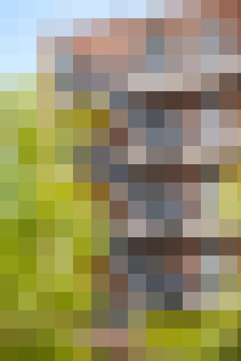 Image 22