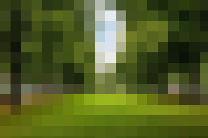Image 30