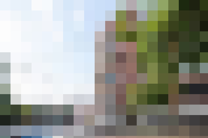 Image 28