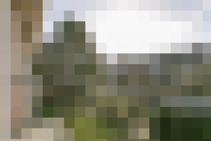 Image 29