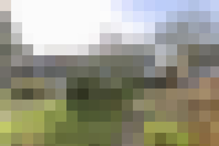 Image 28