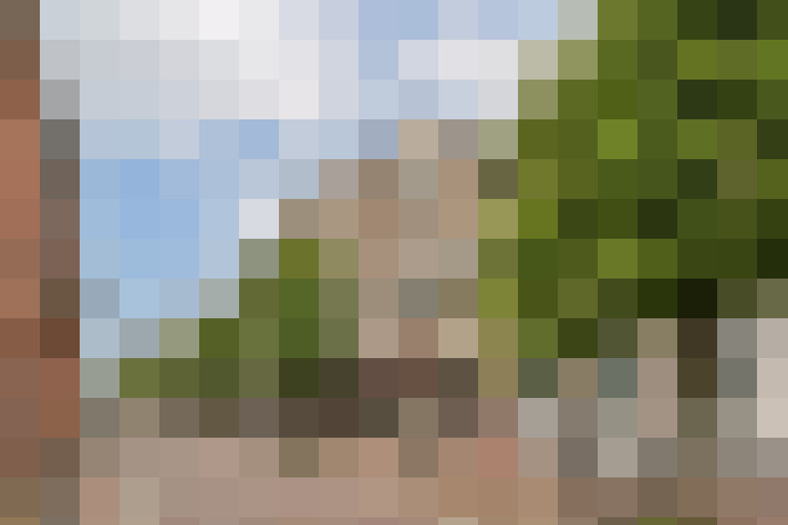 Image 33