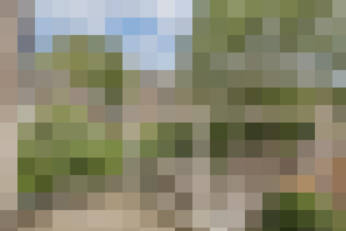 Image 17