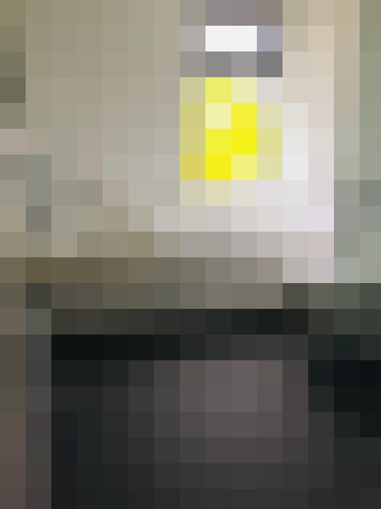 Image 14