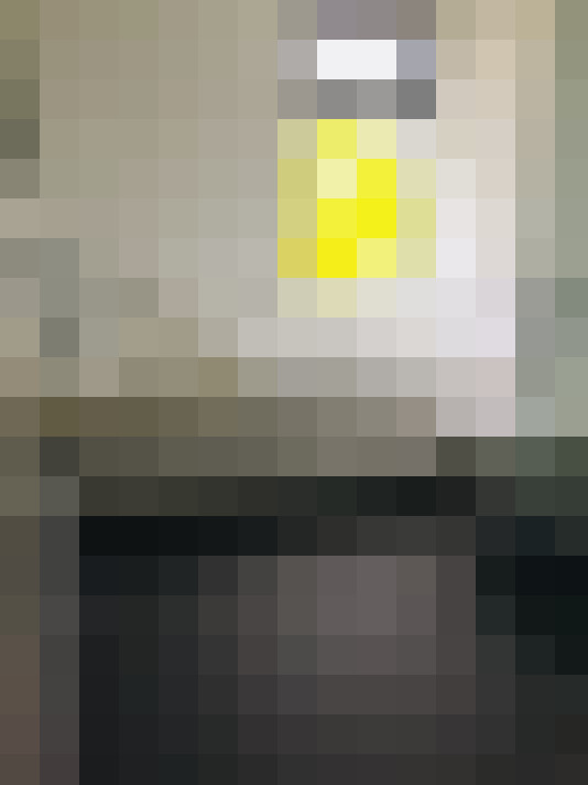 Image 15