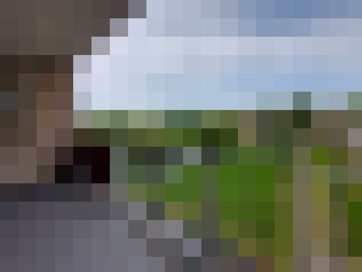Image 29
