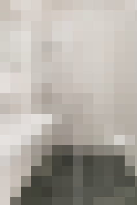 Image 50