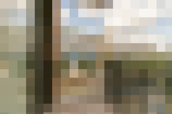 Image 55