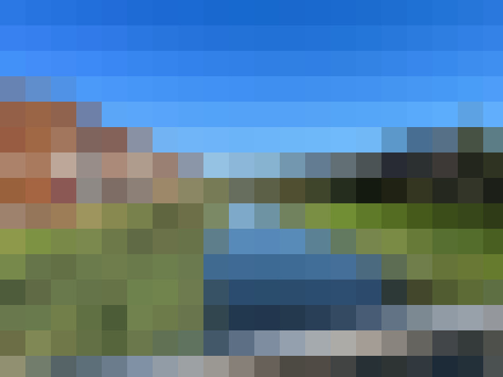 Image 17