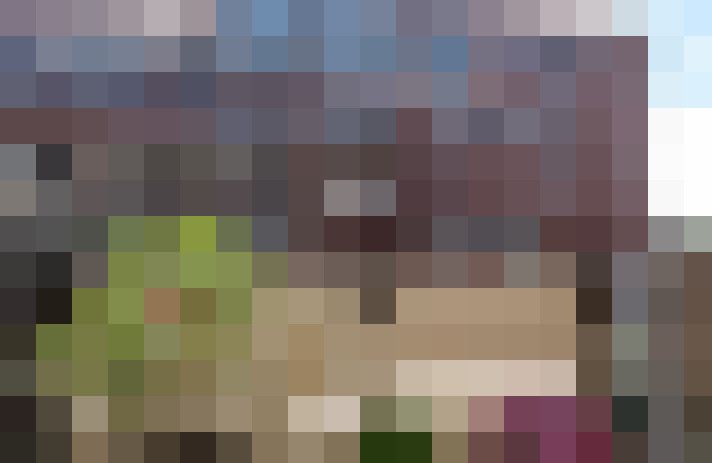 Image 15