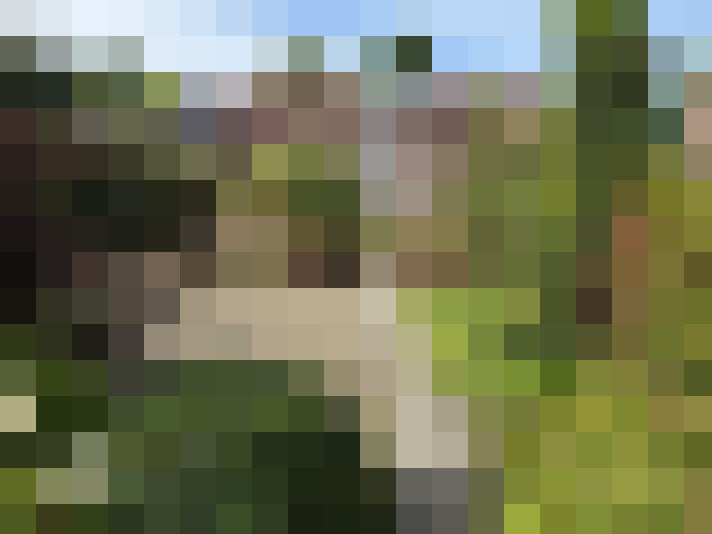 Image 23