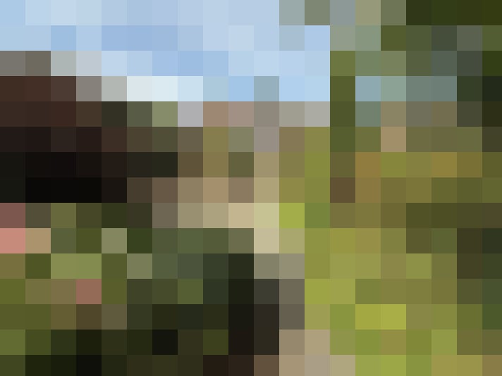 Image 22