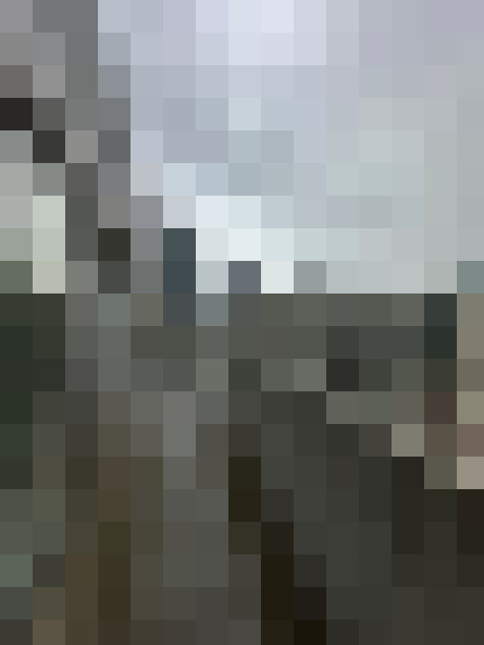 Image 15