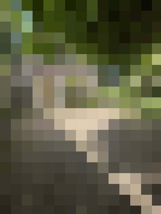 Image 20