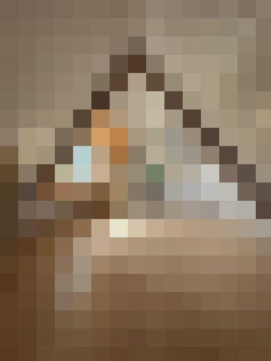 Image 17