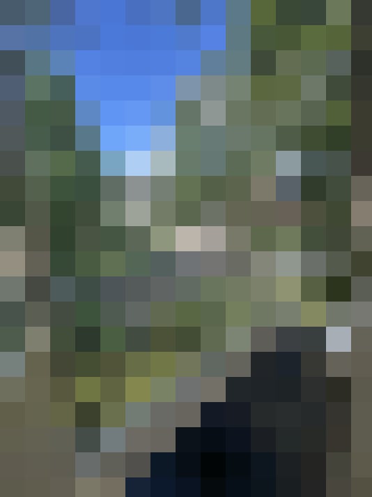 Image 14