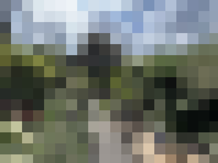 Image 17